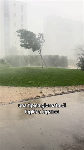 sofia_30183 on TikTok