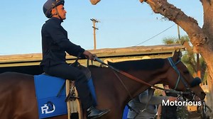 ✨ TDN’s Breeders' Cup Connections series continues with Tony Gutierrez, a former jockey who has made a name for himself as one of the most sought-after work riders on the Santa Anita backside. You may recognize him as the breeze rider of Journalism and also the exercise rider of Motorious. Watch the full feature: youtu.be/kScPu50MKuA?si=nOWsKRFMlRjXrR0V | Thoroughbred Daily News