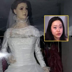 300K views · 3.4K reactions | Two-Headed Dogs Are Not a Fiction, They Are Man-Made! | Stephanie Soo | Facebook