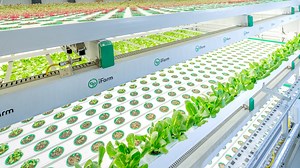 Automated Robotics Vertical Farming System - iFarm StackGrow