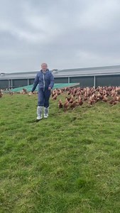 Come with Fi to visit a free range egg farm... 🥚🐔 #BackBritishFarming | Back British Farming NFU