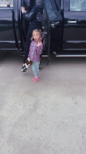 dinoventura101 on TikTok