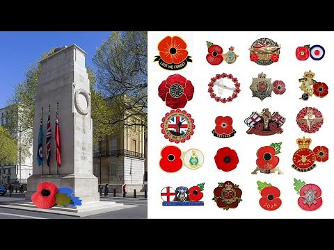 The Story Behind The Poppy: 7 Fascinating Facts