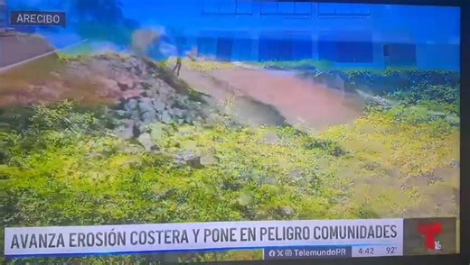 Arecibo | Noticia Arecibo