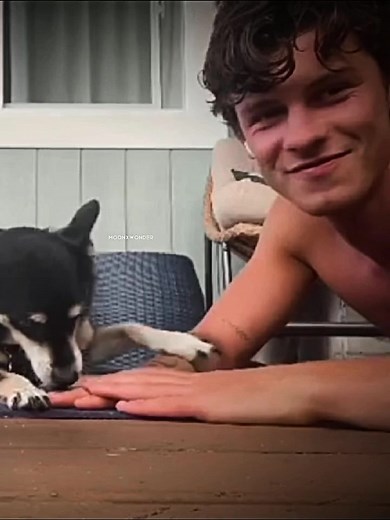 Shawn with dogs is the best thing in the world ❤️‍🩹 #shawnmendes