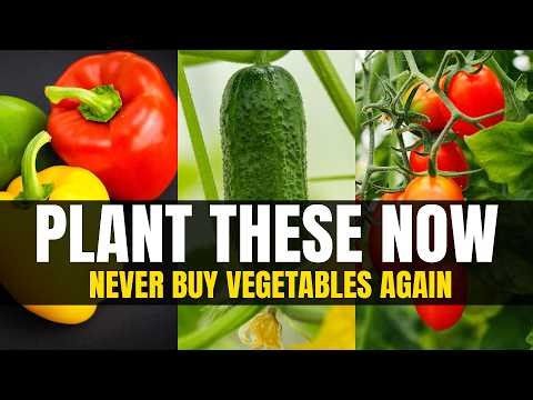 Plant Once in April, Harvest All Summer: 15 Crops That Will FEED You All Summer