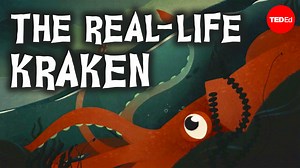 Why did it take so long to find giant squids? Travel into the deep sea to find out what scientists have learned about these mysterious creatures: | TED-Ed