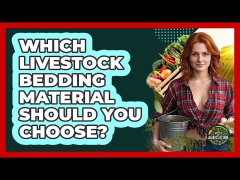 Which Livestock Bedding Material Should You Choose? - The World of Agriculture