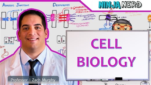 Ninja Nerd | Cell Biology | 细胞生物学