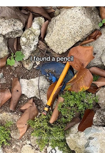 How to Draw Creative Doodles with a Pencil