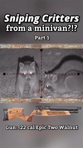 Critters Everywhere 🎯