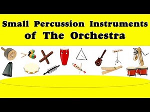 The Orchestra Small Percussion Instruments Of The Orchestra