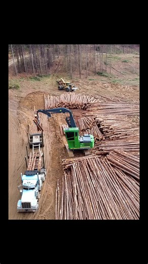Efficient Pine Log Collection Techniques