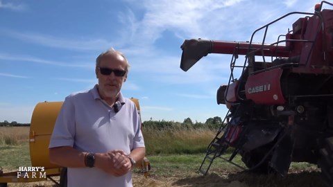 Can the wheat hold its quality?