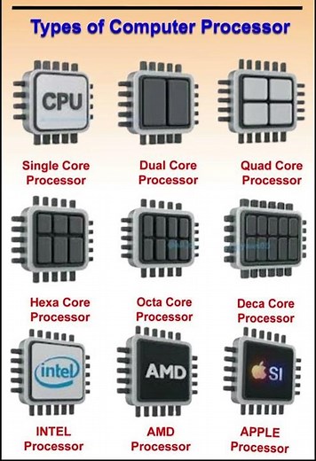 lDon't Buy the Wrong Processor! (Intel vs AMD vs Apple)