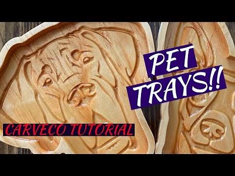 HOW TO: MAKE PET TRAYS WITH CARVECO SOFTWARE TUTORIAL