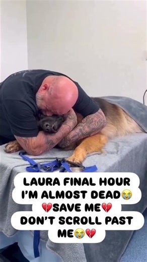 LAURA IS STILL ALIVE… BUT SHE WON’T SURVIVE WITHOUT US.Laura just gave birth to 12 tiny puppies.#usa