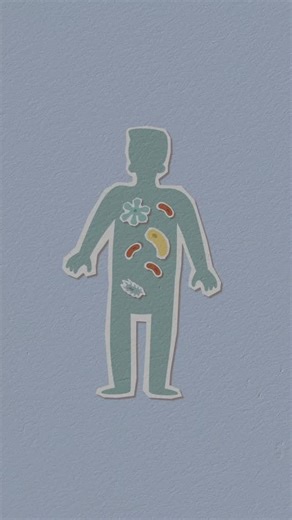 トリビアの森 on Instagram: ". . . . . 腸内細菌の種類は人によって大きく異なり、同じ種類の細菌が全くいない人もいます。これは、遺伝、食生活、生活習慣、環境などが影響するためです。双子であっても腸内細菌の種類は異なり、指紋のように個人を特定できるレベルで多様性があります。この多様性が、健康状態や免疫力に影響を与えると考えられています。 #雑学 #豆知識 #shorts #ショート #おすすめ #fyp #トリビア"