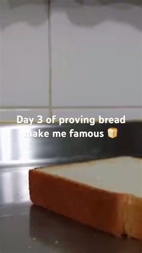 Bread falling #memes #funny