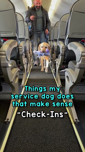 Magnus: My Task Trained Service Dog