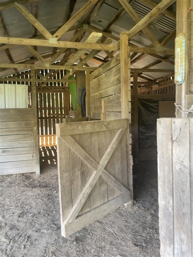 Preparing My Barn for Donkeys, Goats, and Sheep