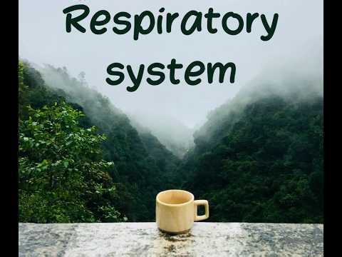 Respiration Part-2 (pulmonary function test)