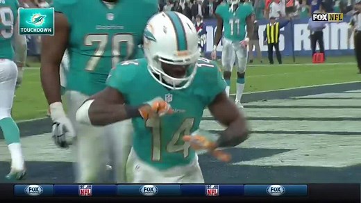 Ducks fly together. Miami Dolphins push together. | NFL