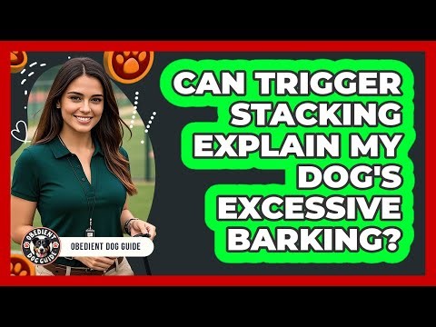 Can Trigger Stacking Explain My Dog's Excessive Barking? - Obedient Dog Guide