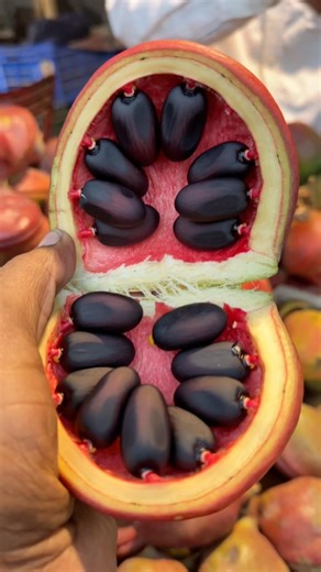 এই বাদাম খেয়েছেন কখনো। #agriculture #boxnut