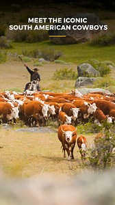 Discover the heart and soul of Patagonia through its Gaucho culture. 🌄 Meet the iconic South American cowboys, learn about their traditions, and experience the essence of gaucho life on our expeditions. Ready to connect with this storied culture? Visit our website to embark on a journey into the Patagonian plains. #PatagonianGaucho #CulturalAdventure #QuasarJourneys #GauchoHeritage #PatagoniaExploration #TravelDeeper | Quasar Expeditions