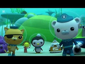 octonauts and the great barrier reef