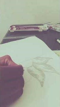How to draw the flower by using pencil