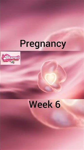 #shortvideo |your little one is 6th weeks old expectations