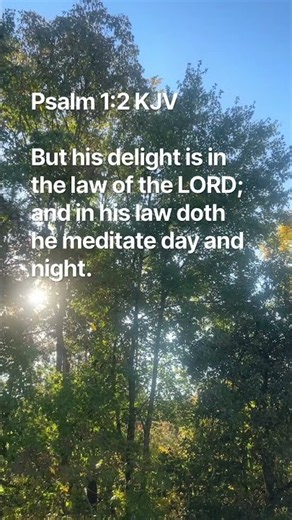 His Delight Is In The Law | Psalm 1:2 KJV Meditation | Music 🎤On My Side Victor Ivyic