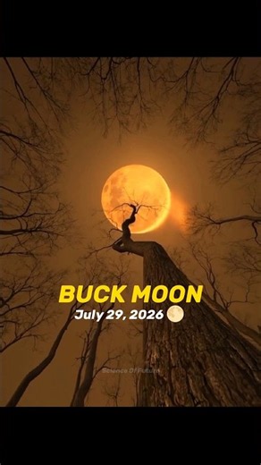 The Rare Buck Moon Is Coming 🥳💀 #space #shorts #earth #astronomy #science