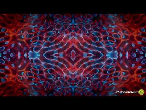 Heavy Dub Reggae – Deep Bass & Dubwise Vibes | Eardrum – Push N’ Glide