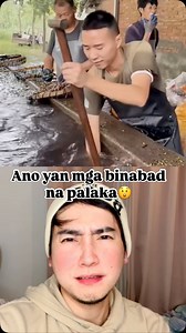 Ano yan burong palaka? Ang dame naman😬 #frog | Raph John Burbano