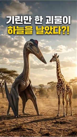 📜 기린만 한 익룡이 어떻게 날았을까? #공룡 #익룡 #케찰코아틀루스 #쿼드런치 #고생물학