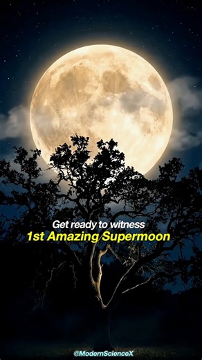 January 2026 SupermoonThe Full Moon on January 3, 2026, is considered a Supermoon – it appears 6% bigger and 13% brighter than an average Full Moon.A Supermoon happens when a Full Moon occurs near perigee, the Moon’s closest point to Earth in its orbit. The Moon doesn’t really change its size; it just gets closer to Earth. #astronomy #January2026 #newyear2026 #fullmoon | Modern Sciencex