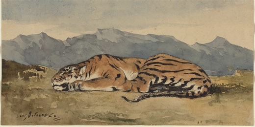 Notes from the Hatch: Catch It by the Tail