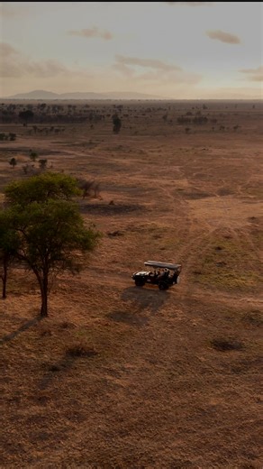 Mikumi National Park is Tanzania's forth largest national park, and the perfect first park to visit on the Southern Circuit. From large herds of antelope and healthy populations of big cats, and wide open plains, we often have some of the best wildlife sightings. We can't wait to share with you another reason to visit this national park. @followers @topfans Audley Travel Travel Africa Adventure Camps of Tanzania UK Chaka Africa Travel African Safari Adventures Blog Aktivferien Abendsonne Afrika 
