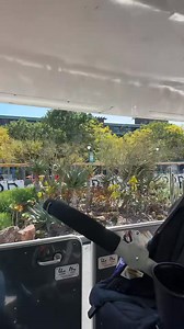 Autistic nonverbal teen arrives at Disneyland #fyp #explore #specialneeds #autismawareness #autism #disney #disneyland #ootd #cute | Autism life with Ashy