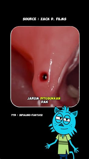faktasekitar on TikTok