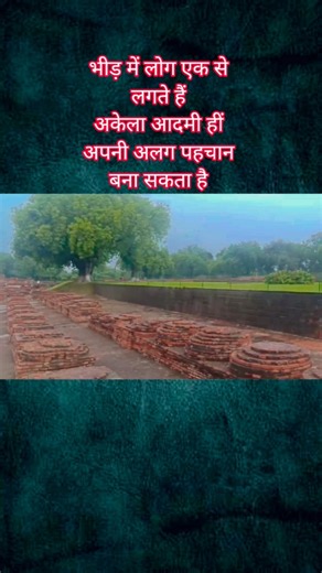 भीड़ और अकेला मे अन्तर | Difference between a mob and an alone person | #motivation #shorts