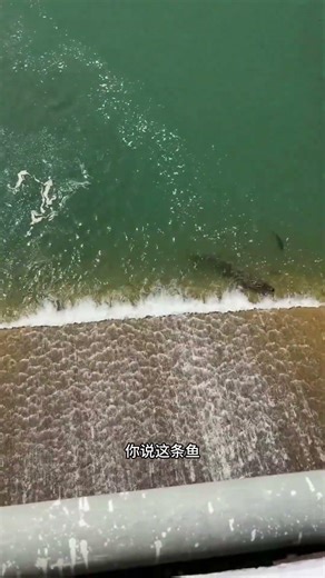 Master the Catch: Hook Size & Line Thickness for Unbeatable Fishing