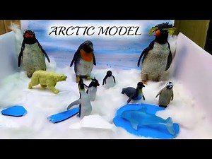 Penguins Habitat For School Project || ARCTIC MODEL