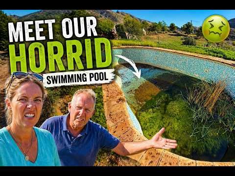 Our Spanish casa has a swimming pool (its disgusting) - moving to Spain