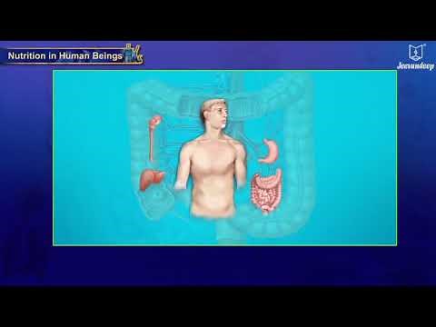 Life Processes In Living Organisms - Part 1 | Science & Technology | Grade 10 | Part 2 | Jeevandeep