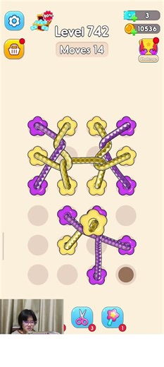 Tangle Rope 3D Level 742