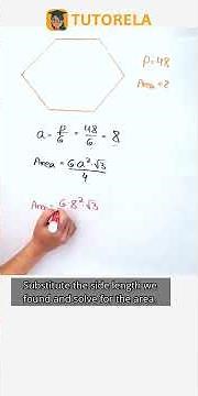 How to Calculate Area of a Hexagon with Perimeter 48 cm #Math #RegularPolygons-Advanced